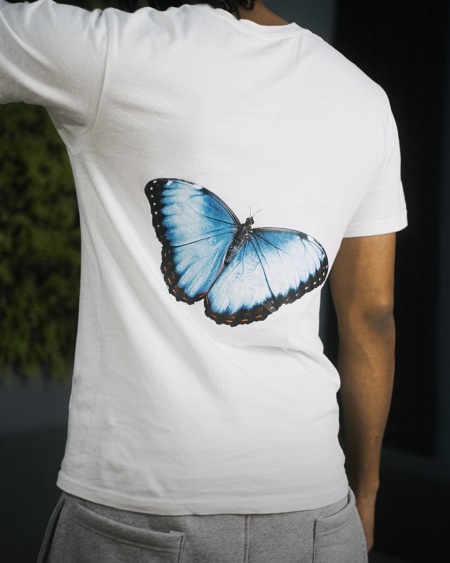 T-Shirt Papillon Blanc